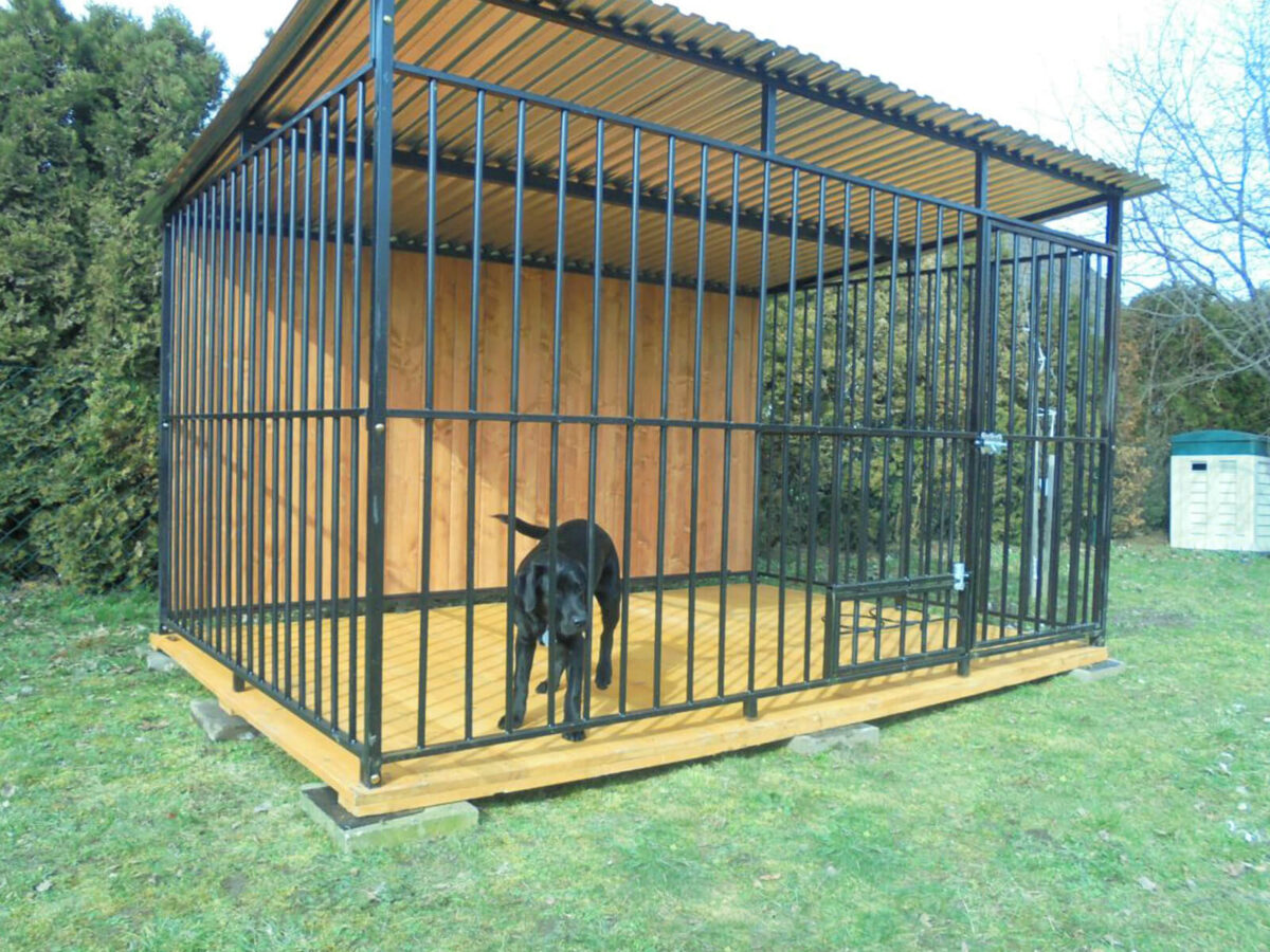 Hundezwinger mit Pultdach nach hinten 3m x 2m Vierkantprofil